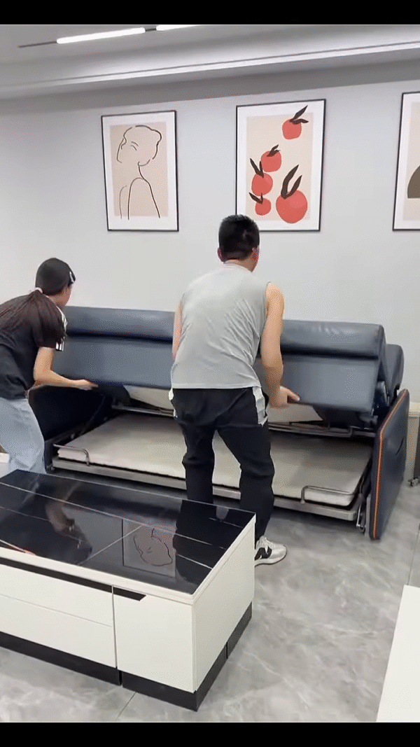 🛋️🛏️ Title: "Sofa by Day, Bed by Night – The Ultimate Space Saver!" - Image 3