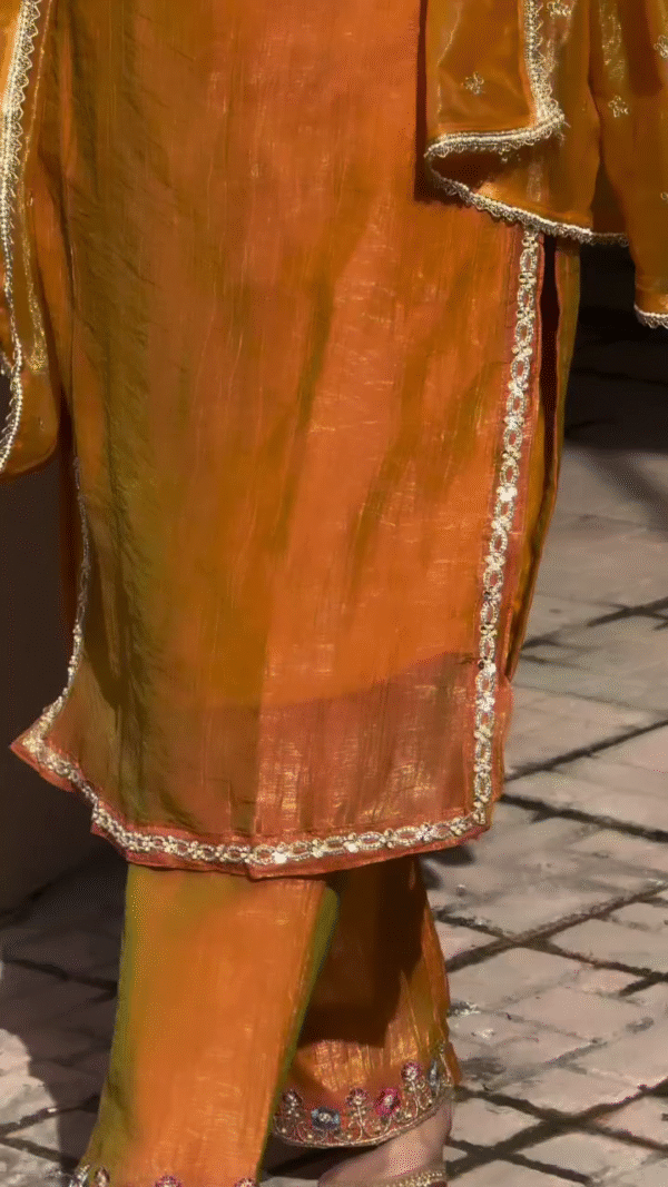 Premium shimmer tissue zari detailing suit set in orange - Image 3